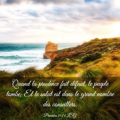 Picture 03 - Proverbes 11:14 LSG - Quand la prudence fait défaut, le peuple tombe; - Bible Verse Picture