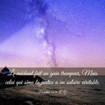 Picture 03 - Proverbes 11:18 LSG - Le méchant fait un gain trompeur, Mais celui qui - Bible Verse Picture