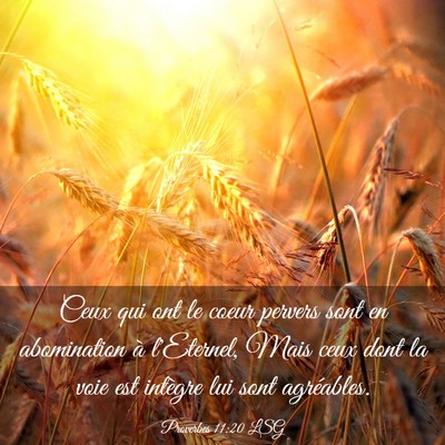 Picture 03 - Proverbes 11:20 LSG - Ceux qui ont le coeur pervers sont en abomination - Bible Verse Picture