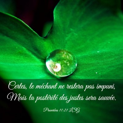 Picture 03 - Proverbes 11:21 LSG - Certes, le méchant ne restera pas impuni, Mais - Bible Verse Picture