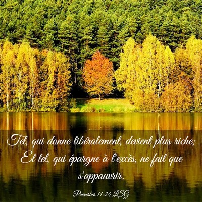 Picture 03 - Proverbes 11:24 LSG - Tel, qui donne libéralement, devient plus riche; - Bible Verse Picture