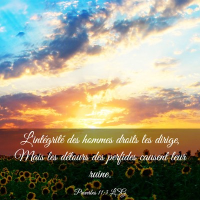 Picture 03 - Proverbes 11:3 LSG - L'intégrité des hommes droits les dirige, Mais - Bible Verse Picture