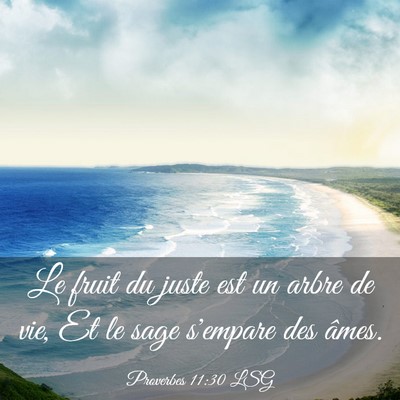 Picture 03 - Proverbes 11:30 LSG - Le fruit du juste est un arbre de vie, Et le sage - Bible Verse Picture