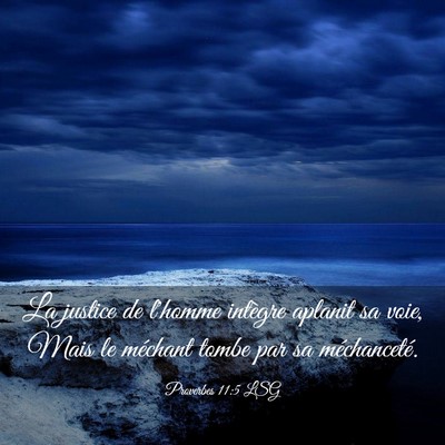 Picture 03 - Proverbes 11:5 LSG - La justice de l'homme intègre aplanit sa voie, - Bible Verse Picture