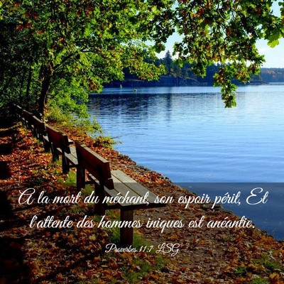 Picture 03 - Proverbes 11:7 LSG - A la mort du méchant, son espoir périt, Et - Bible Verse Picture