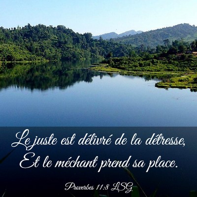 Picture 03 - Proverbes 11:8 LSG - Le juste est délivré de la détresse, Et le - Bible Verse Picture