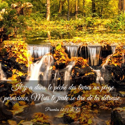 Picture 03 - Proverbes 12:13 LSG - Il y a dans le péché des lèvres un piège - Bible Verse Picture