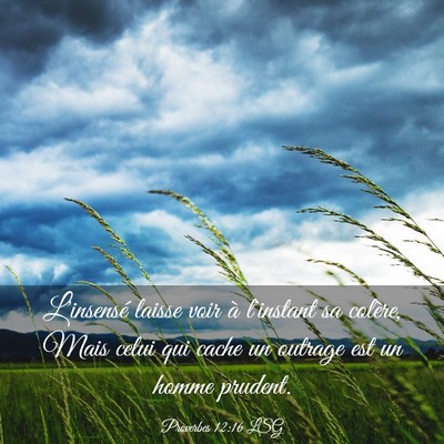 Picture 03 - Proverbes 12:16 LSG - L'insensé laisse voir à l'instant sa colère, - Bible Verse Picture