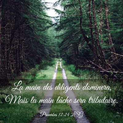 Picture 03 - Proverbes 12:24 LSG - La main des diligents dominera, Mais la main - Bible Verse Picture