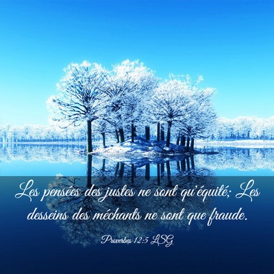 Picture 03 - Proverbes 12:5 LSG - Les pensées des justes ne sont qu'équité; Les - Bible Verse Picture
