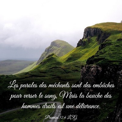 Picture 03 - Proverbes 12:6 LSG - Les paroles des méchants sont des embûches pour - Bible Verse Picture