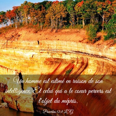 Picture 03 - Proverbes 12:8 LSG - Un homme est estimé en raison de son - Bible Verse Picture