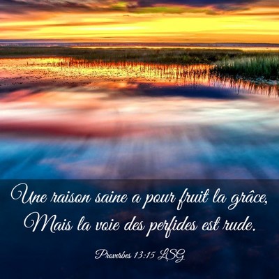 Picture 03 - Proverbes 13:15 LSG - Une raison saine a pour fruit la grâce, Mais la - Bible Verse Picture