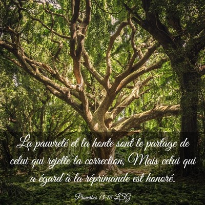 Picture 03 - Proverbes 13:18 LSG - La pauvreté et la honte sont le partage de celui - Bible Verse Picture