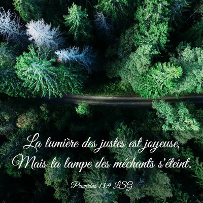 Picture 03 - Proverbes 13:9 LSG - La lumière des justes est joyeuse, Mais la lampe - Bible Verse Picture
