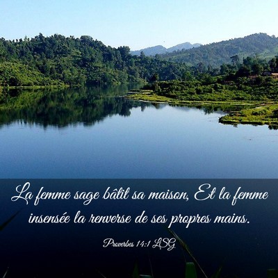 Picture 03 - Proverbes 14:1 LSG - La femme sage bâtit sa maison, Et la femme - Bible Verse Picture
