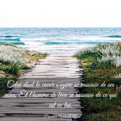 Picture 03 - Proverbes 14:14 LSG - Celui dont le coeur s'égare se rassasie de ses - Bible Verse Picture