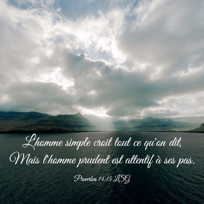 Picture 03 - Proverbes 14:15 LSG - L'homme simple croit tout ce qu'on dit, Mais - Bible Verse Picture