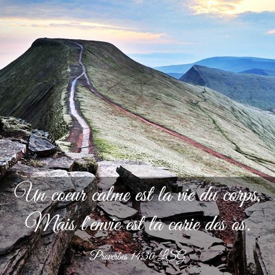 Picture 03 - Proverbes 14:30 LSG - Un coeur calme est la vie du corps, Mais l'envie - Bible Verse Picture