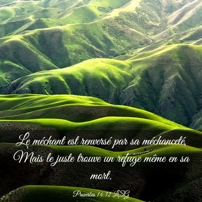 Picture 03 - Proverbes 14:32 LSG - Le méchant est renversé par sa méchanceté, - Bible Verse Picture