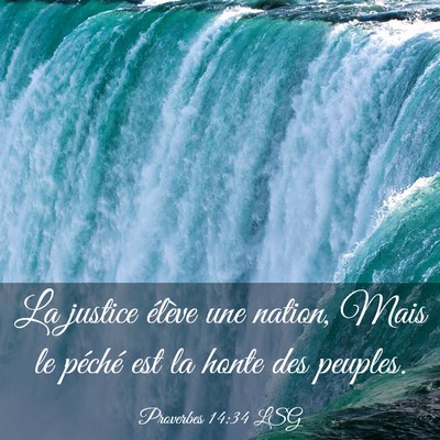 Picture 03 - Proverbes 14:34 LSG - La justice élève une nation, Mais le péché - Bible Verse Picture