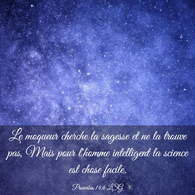Picture 03 - Proverbes 14:6 LSG - Le moqueur cherche la sagesse et ne la trouve - Bible Verse Picture