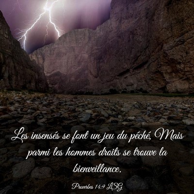 Picture 03 - Proverbes 14:9 LSG - Les insensés se font un jeu du péché, Mais - Bible Verse Picture