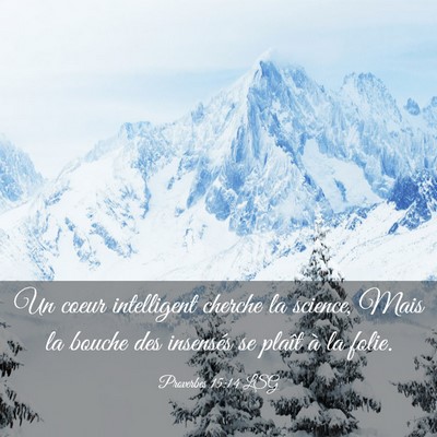 Picture 03 - Proverbes 15:14 LSG - Un coeur intelligent cherche la science, Mais la - Bible Verse Picture