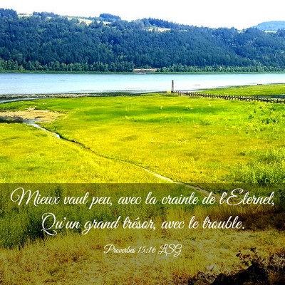 Picture 03 - Proverbes 15:16 LSG - Mieux vaut peu, avec la crainte de l'Eternel, - Bible Verse Picture