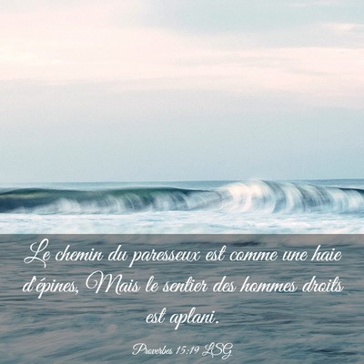 Picture 03 - Proverbes 15:19 LSG - Le chemin du paresseux est comme une haie - Bible Verse Picture