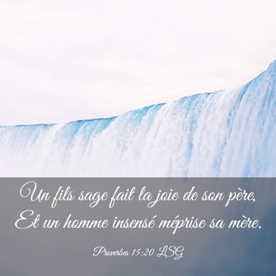 Picture 03 - Proverbes 15:20 LSG - Un fils sage fait la joie de son père, Et un - Bible Verse Picture