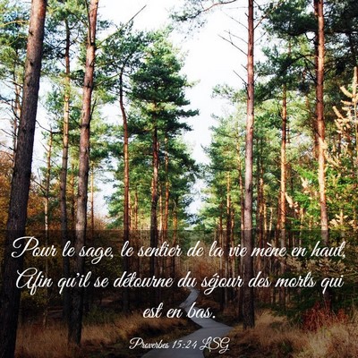 Picture 03 - Proverbes 15:24 LSG - Pour le sage, le sentier de la vie mène en haut, - Bible Verse Picture