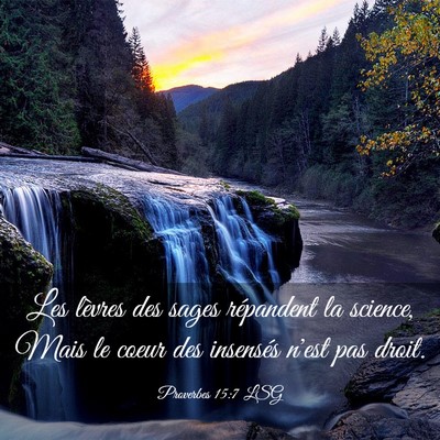 Picture 03 - Proverbes 15:7 LSG - Les lèvres des sages répandent la science, Mais - Bible Verse Picture