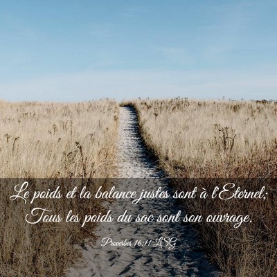 Picture 03 - Proverbes 16:11 LSG - Le poids et la balance justes sont à l'Eternel; - Bible Verse Picture