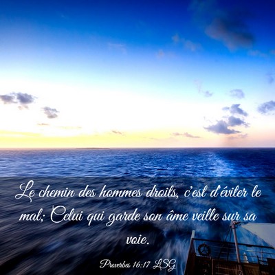 Picture 03 - Proverbes 16:17 LSG - Le chemin des hommes droits, c'est d'éviter le - Bible Verse Picture