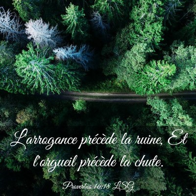 Picture 03 - Proverbes 16:18 LSG - L'arrogance précède la ruine, Et l'orgueil - Bible Verse Picture