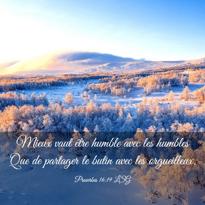 Picture 03 - Proverbes 16:19 LSG - Mieux vaut être humble avec les humbles Que de - Bible Verse Picture
