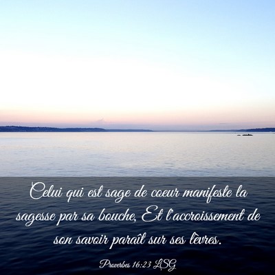 Picture 03 - Proverbes 16:23 LSG - Celui qui est sage de coeur manifeste la sagesse - Bible Verse Picture