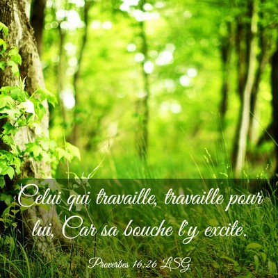 Picture 03 - Proverbes 16:26 LSG - Celui qui travaille, travaille pour lui, Car sa - Bible Verse Picture