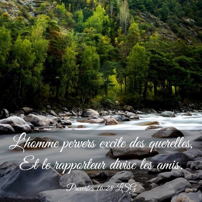 Picture 03 - Proverbes 16:28 LSG - L'homme pervers excite des querelles, Et le - Bible Verse Picture