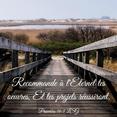 Picture 03 - Proverbes 16:3 LSG - Recommande à l'Eternel tes oeuvres, Et tes - Bible Verse Picture