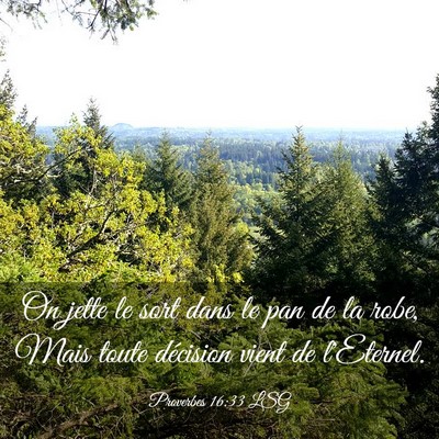 Picture 03 - Proverbes 16:33 LSG - On jette le sort dans le pan de la robe, Mais - Bible Verse Picture