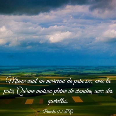 Picture 03 - Proverbes 17:1 LSG - Mieux vaut un morceau de pain sec, avec la paix, - Bible Verse Picture