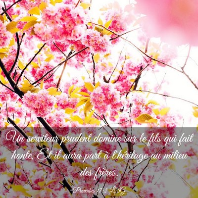 Picture 03 - Proverbes 17:2 LSG - Un serviteur prudent domine sur le fils qui fait - Bible Verse Picture