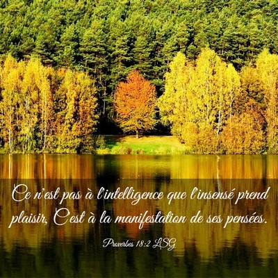 Picture 03 - Proverbes 18:2 LSG - Ce n'est pas à l'intelligence que l'insensé - Bible Verse Picture