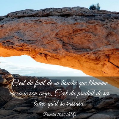 Picture 03 - Proverbes 18:20 LSG - C'est du fruit de sa bouche que l'homme rassasie - Bible Verse Picture