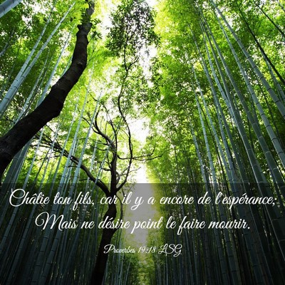 Picture 03 - Proverbes 19:18 LSG - Châtie ton fils, car il y a encore de - Bible Verse Picture