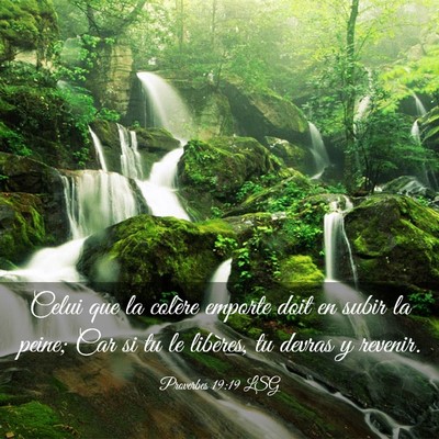 Picture 03 - Proverbes 19:19 LSG - Celui que la colère emporte doit en subir la - Bible Verse Picture