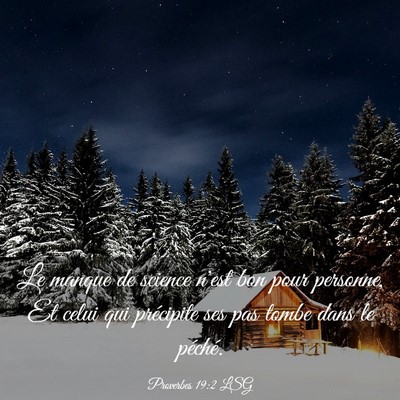 Picture 03 - Proverbes 19:2 LSG - Le manque de science n'est bon pour personne, Et - Bible Verse Picture