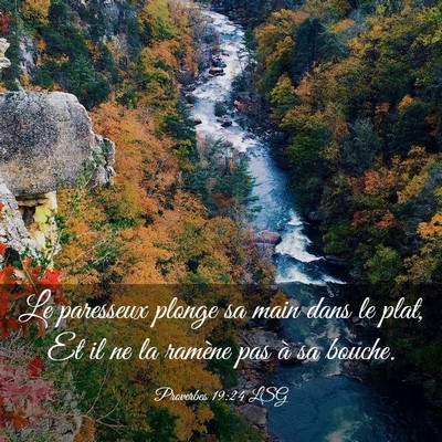 Picture 03 - Proverbes 19:24 LSG - Le paresseux plonge sa main dans le plat, Et il - Bible Verse Picture